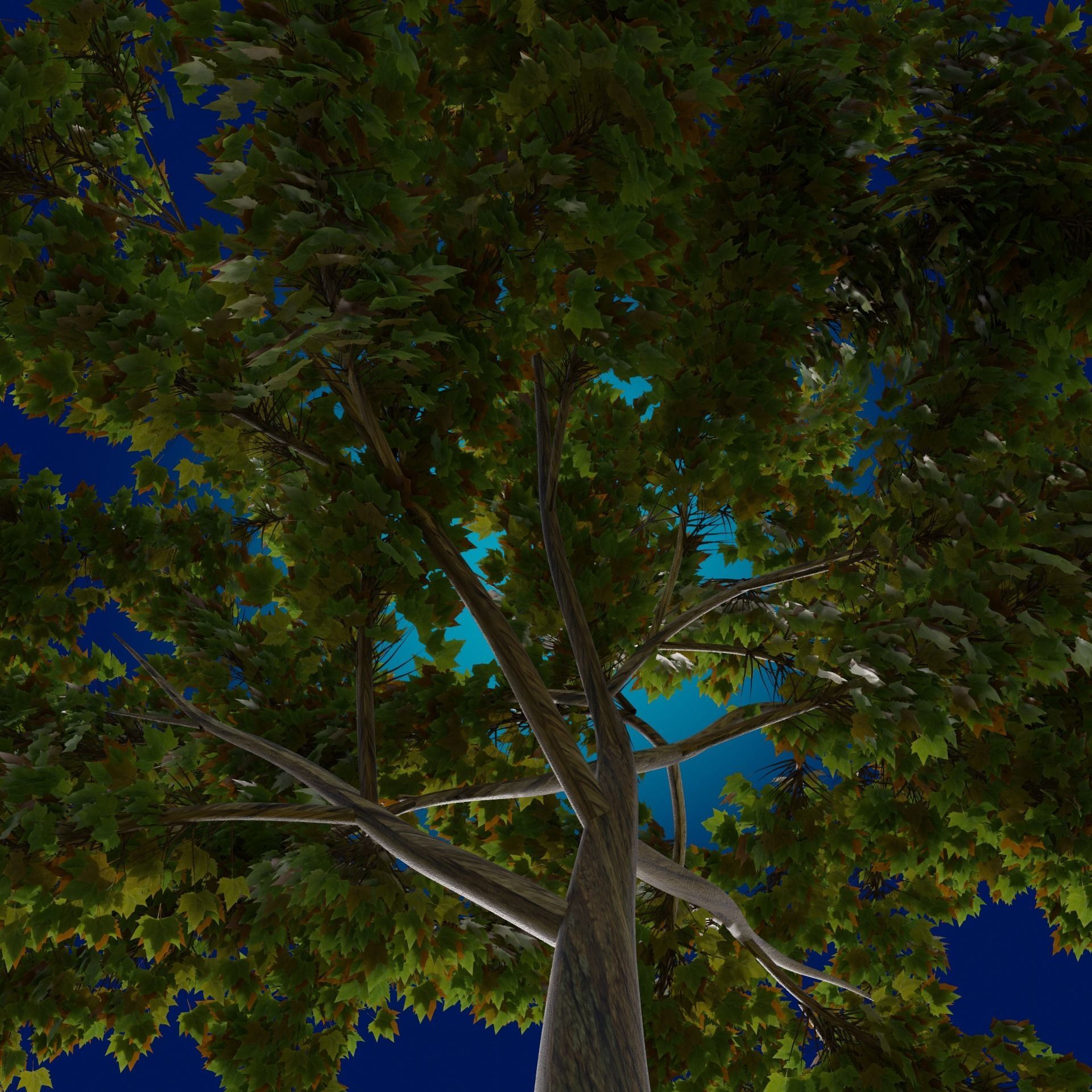 A Tree game-ready 3D model high-poly 3D model_5