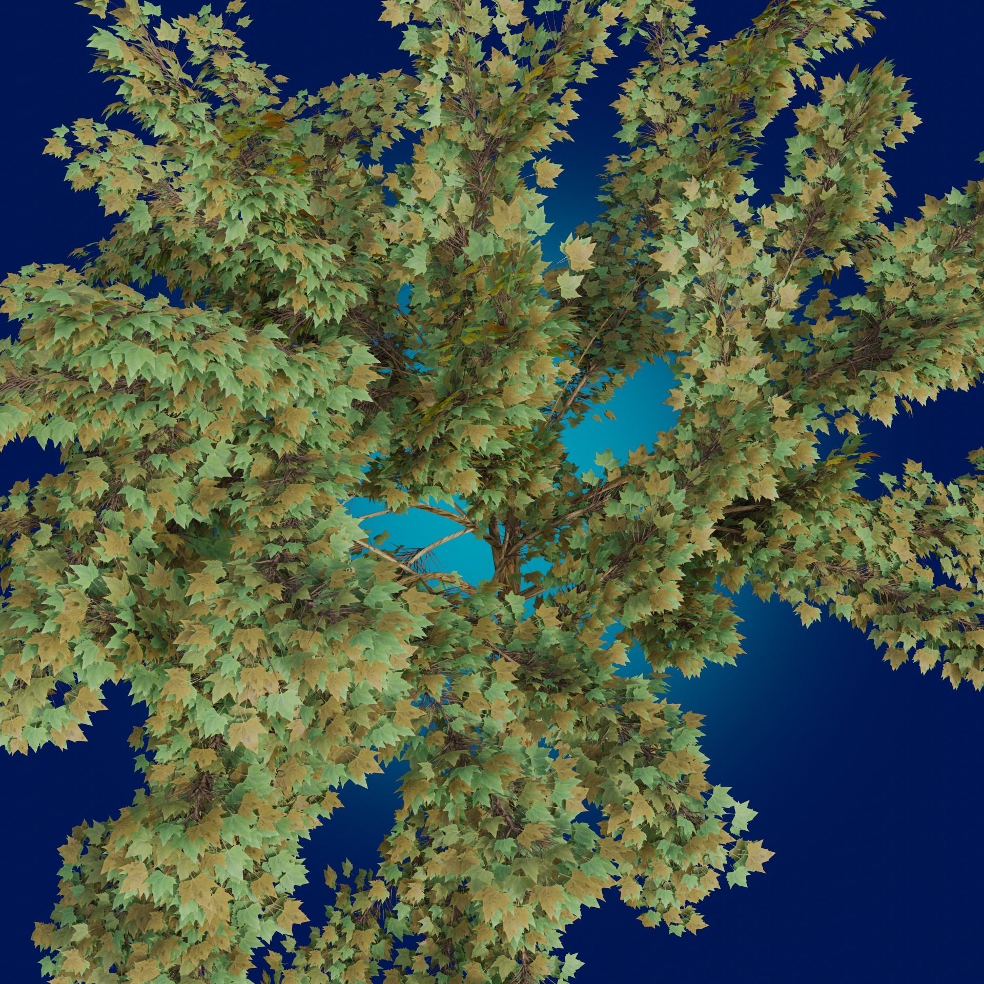 A Tree game-ready 3D model high-poly 3D model_4