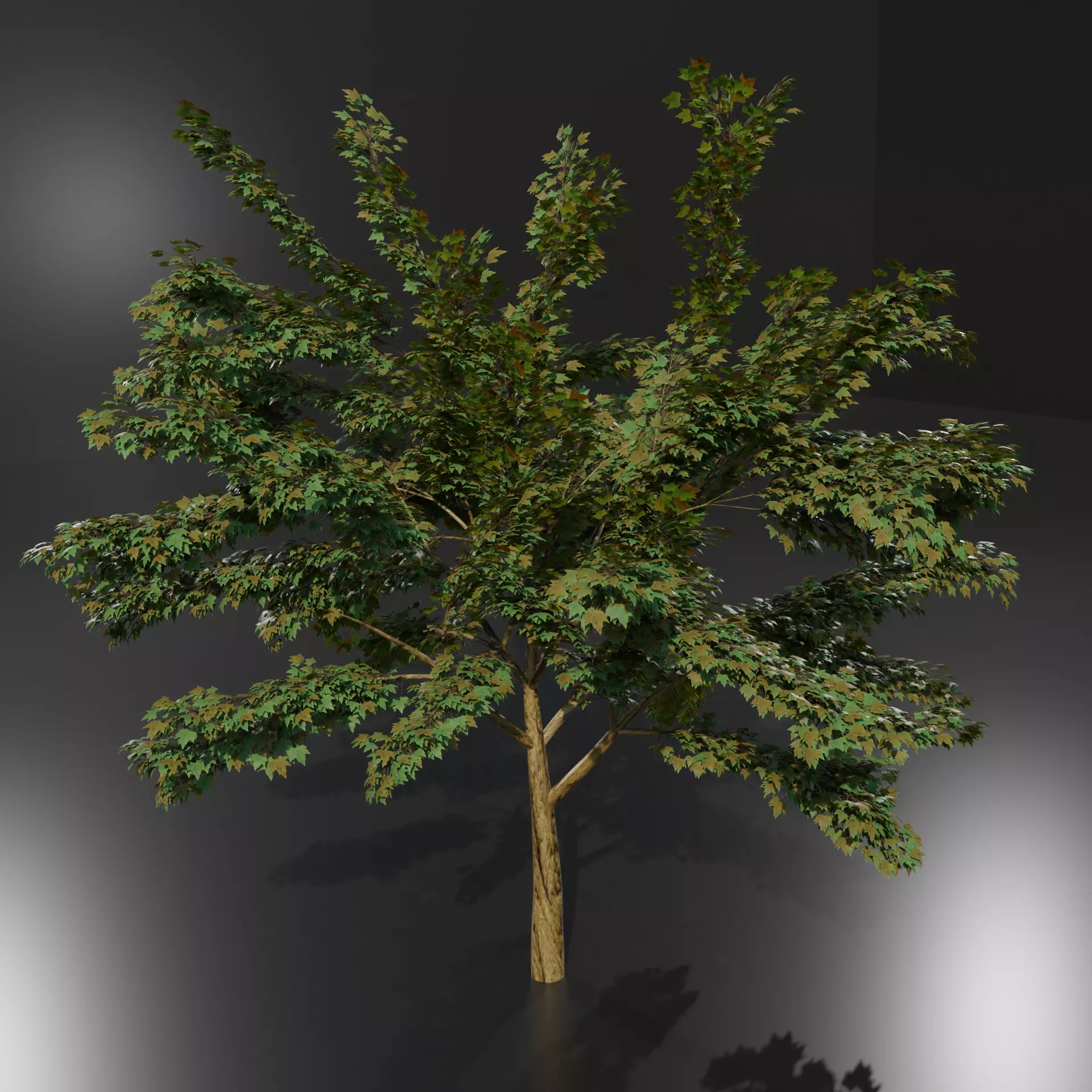 A Tree game-ready 3D model high-poly 3D model_0