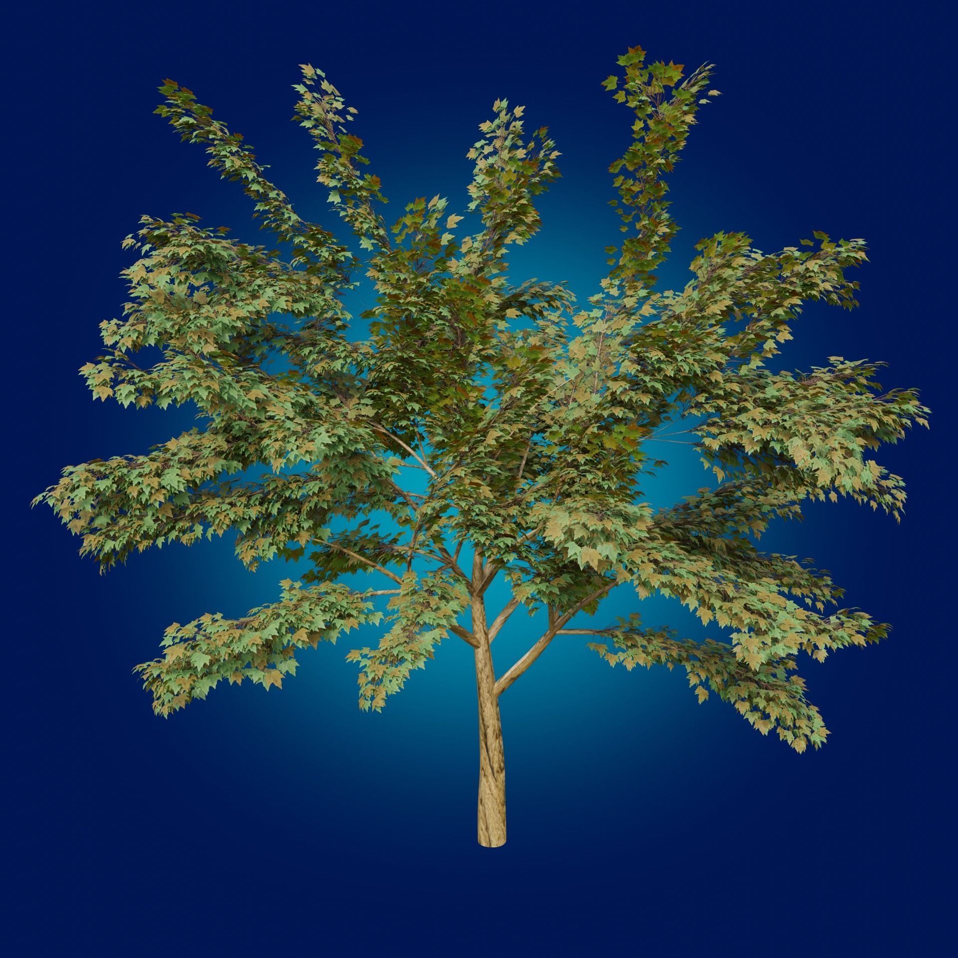 A Tree game-ready 3D model high-poly 3D model_1