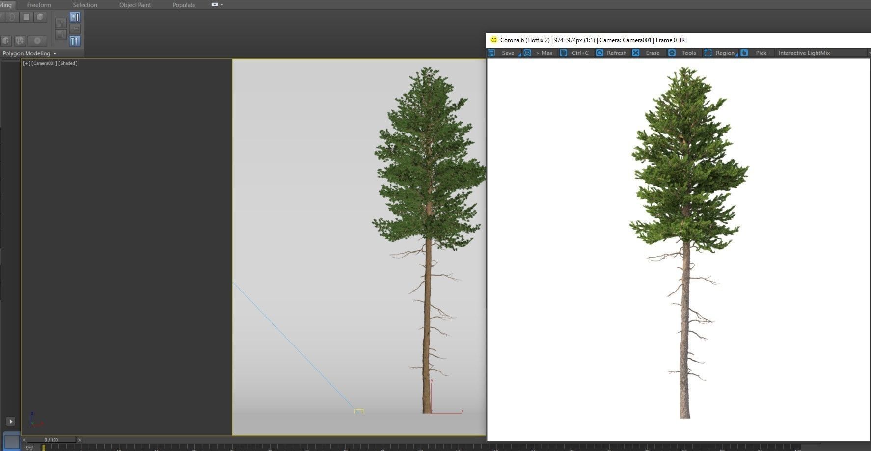 Picea Abies No 3 3D model_10