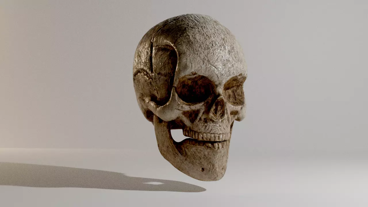Skull Low-poly 3D model_0