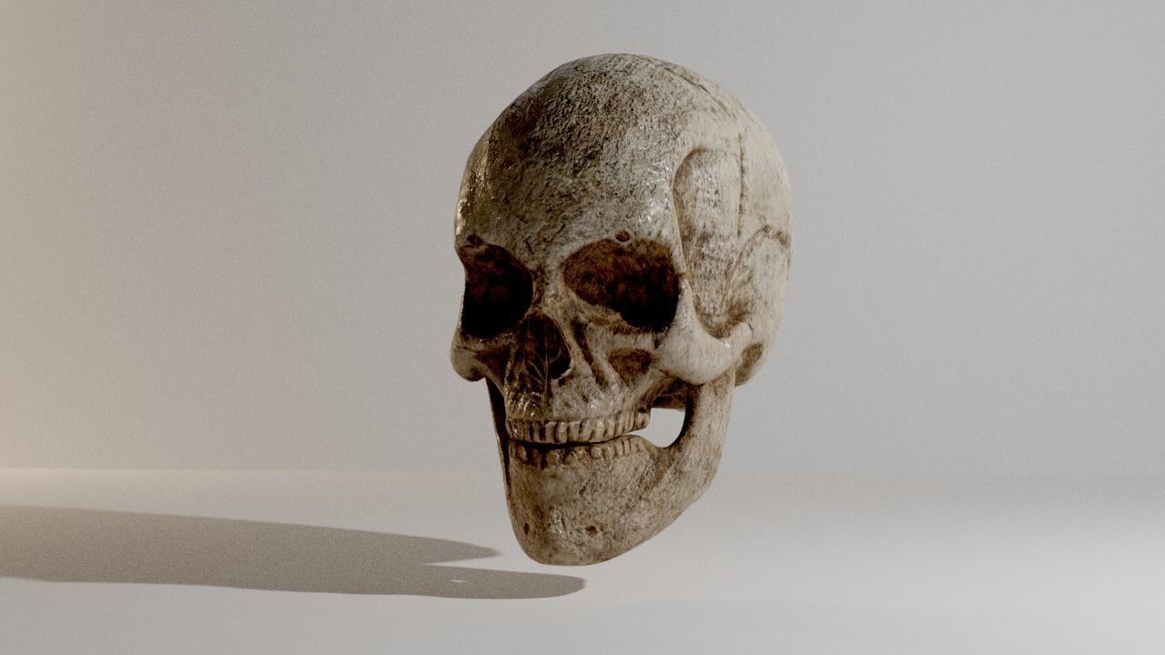 Skull Low-poly 3D model_1
