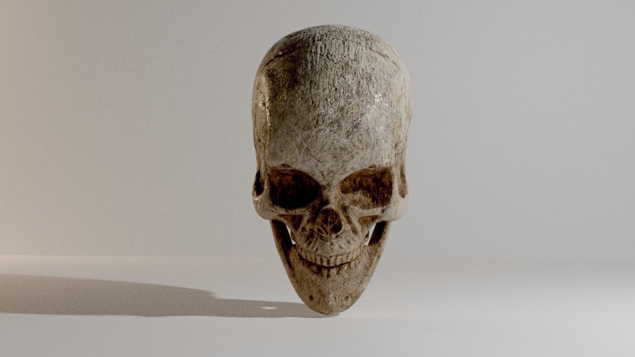 Skull Low-poly 3D model_5