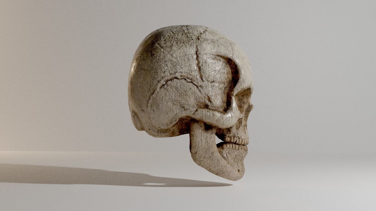 Skull Low-poly 3D model_4