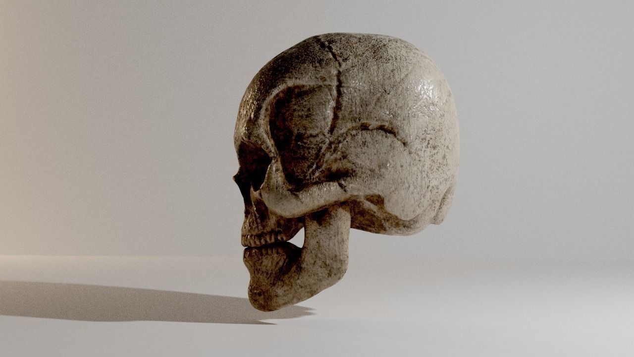 Skull Low-poly 3D model_3