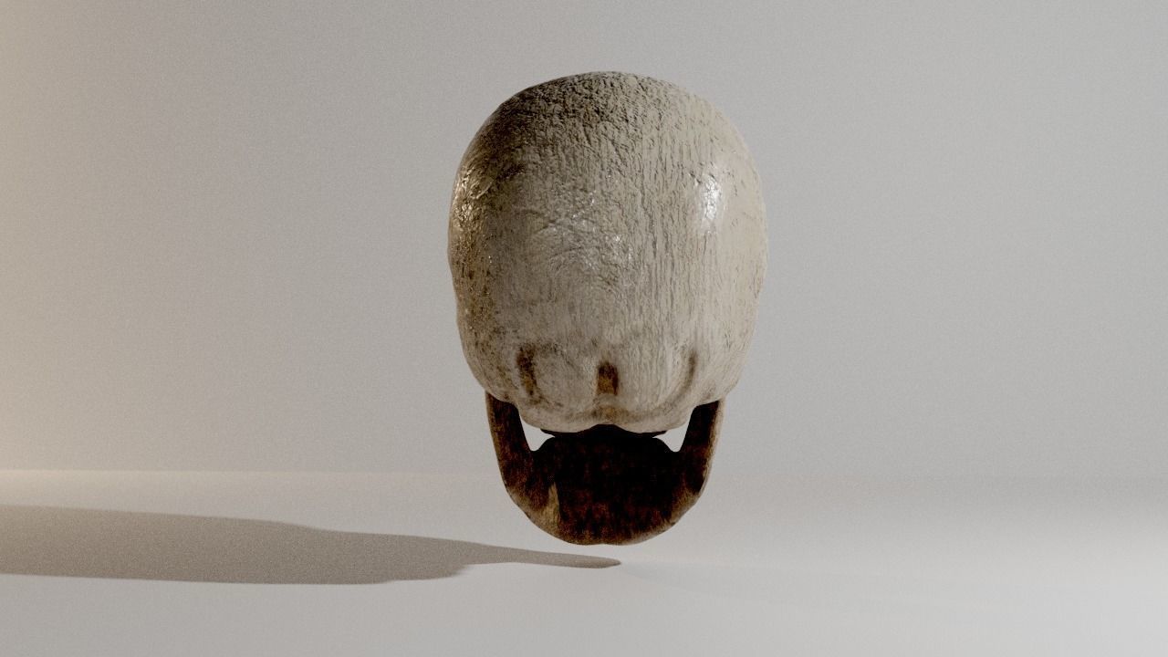 Skull Low-poly 3D model_6