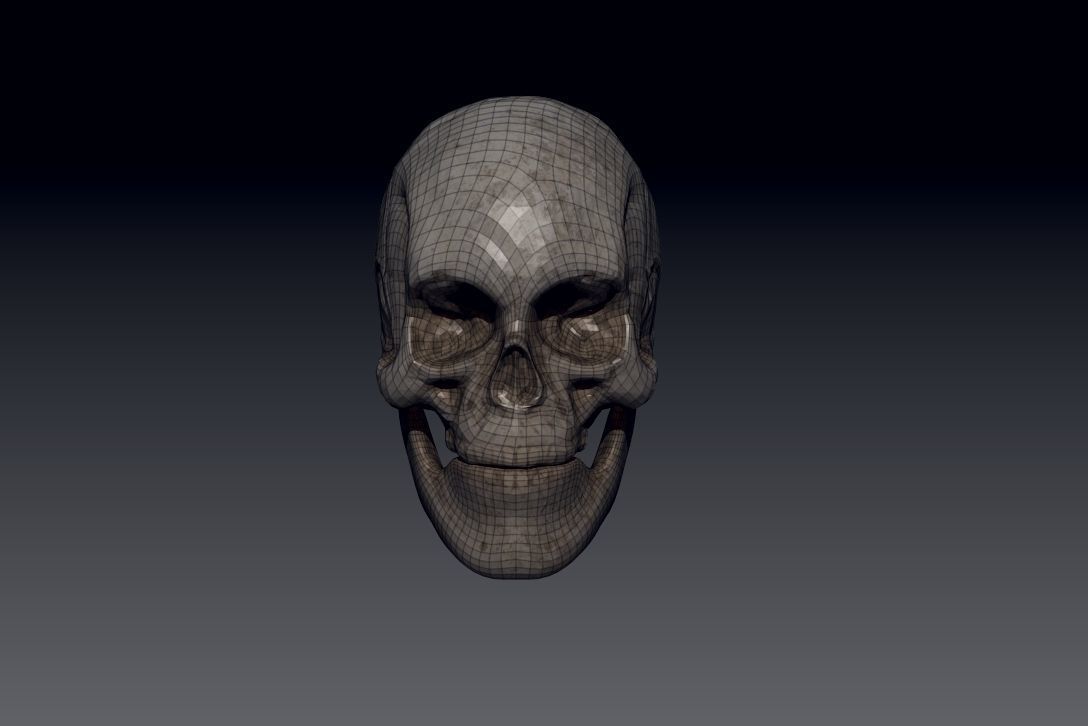 Skull Low-poly 3D model_7