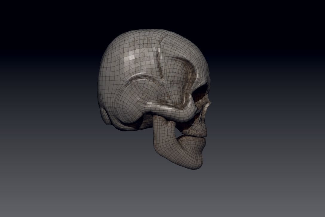 Skull Low-poly 3D model_8