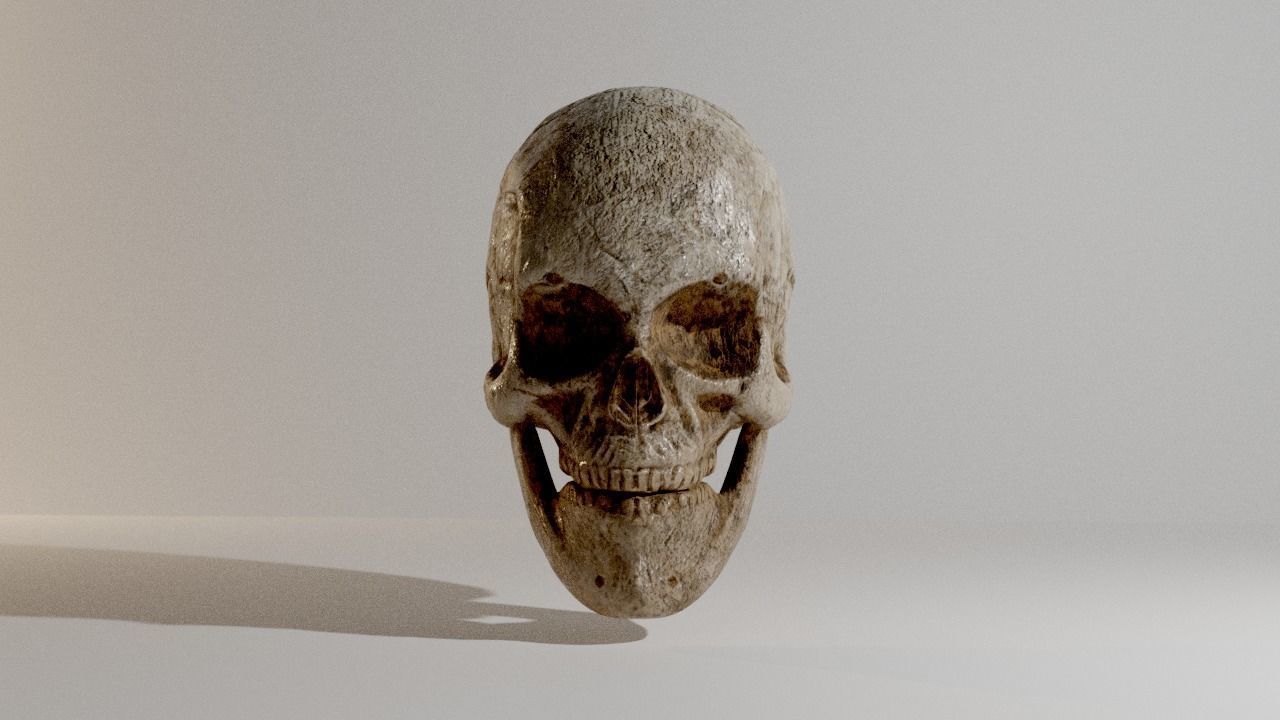 Skull Low-poly 3D model_2