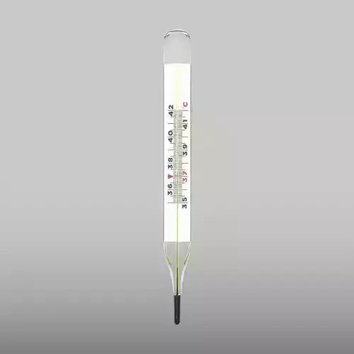 Mercury-in-glass thermometer Low-poly 3D model