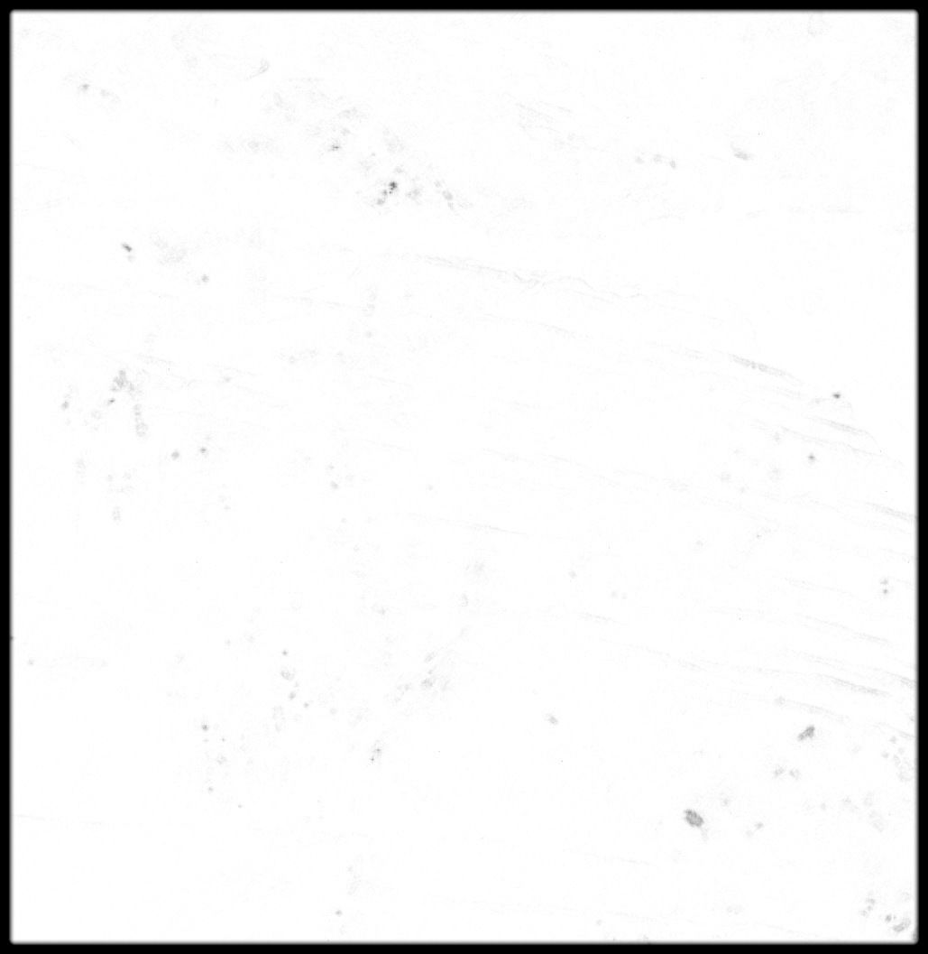 Mali High resolution 30k cavity map Texture_2