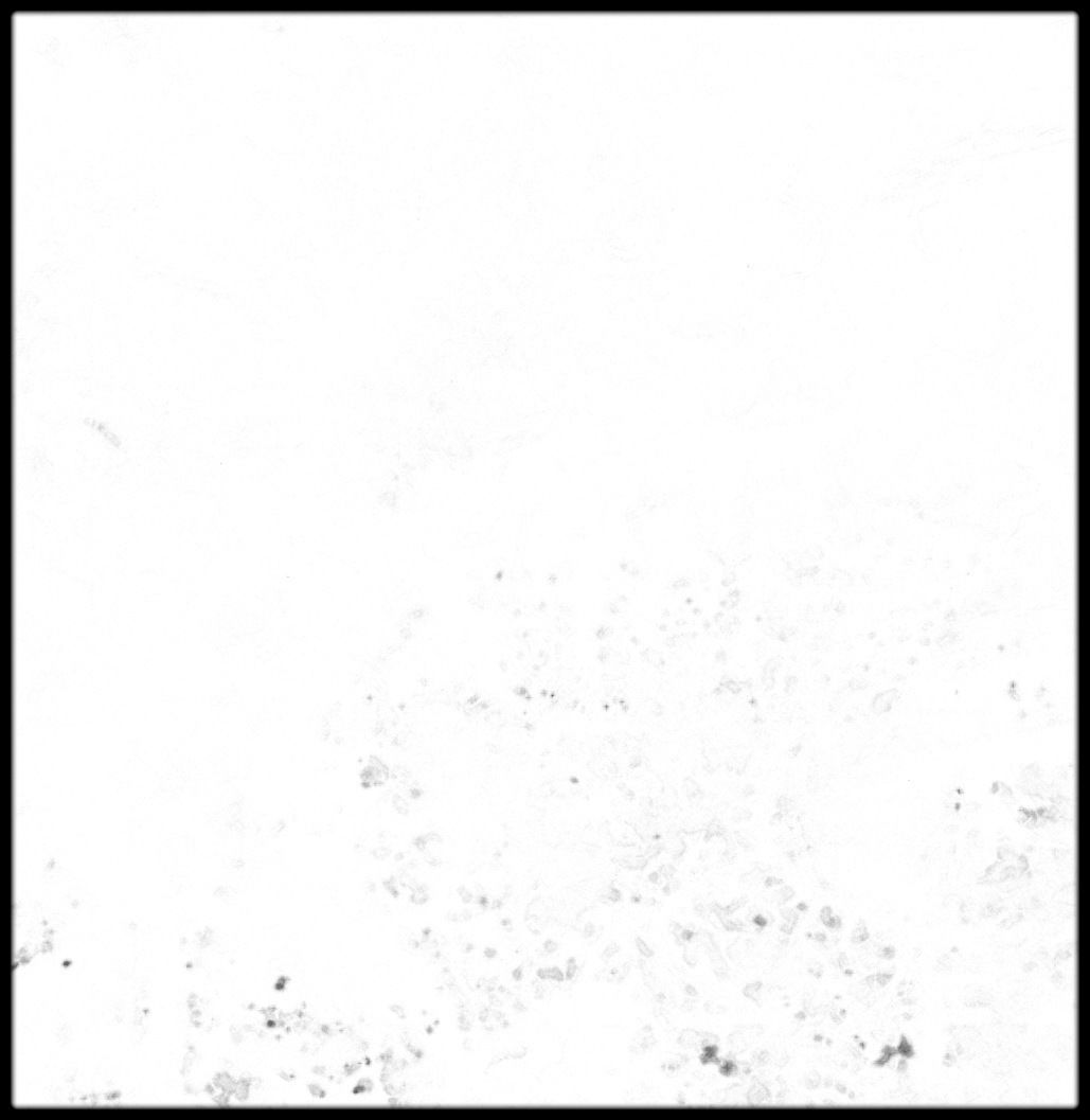 Mali High resolution 30k cavity map Texture_1