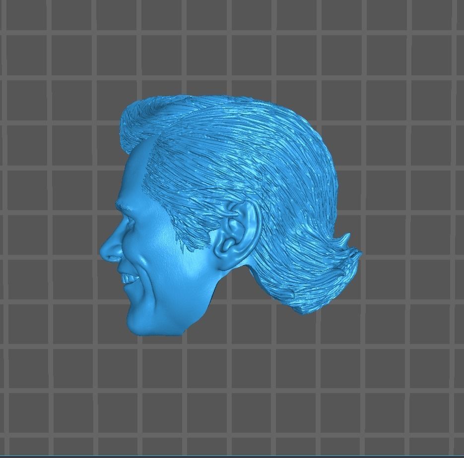 Ace ventura Jim carrey one sixth scale head asmus toys 3D print model_2