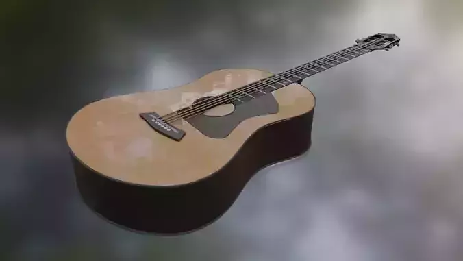  Acoustic Guitar