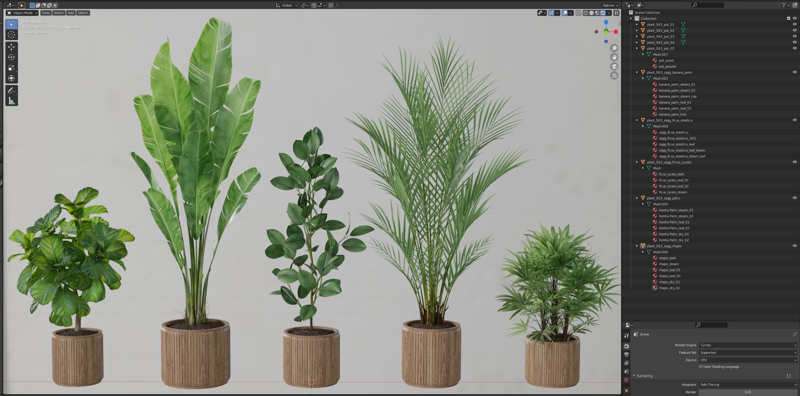 Plants collection 563 3D model_6