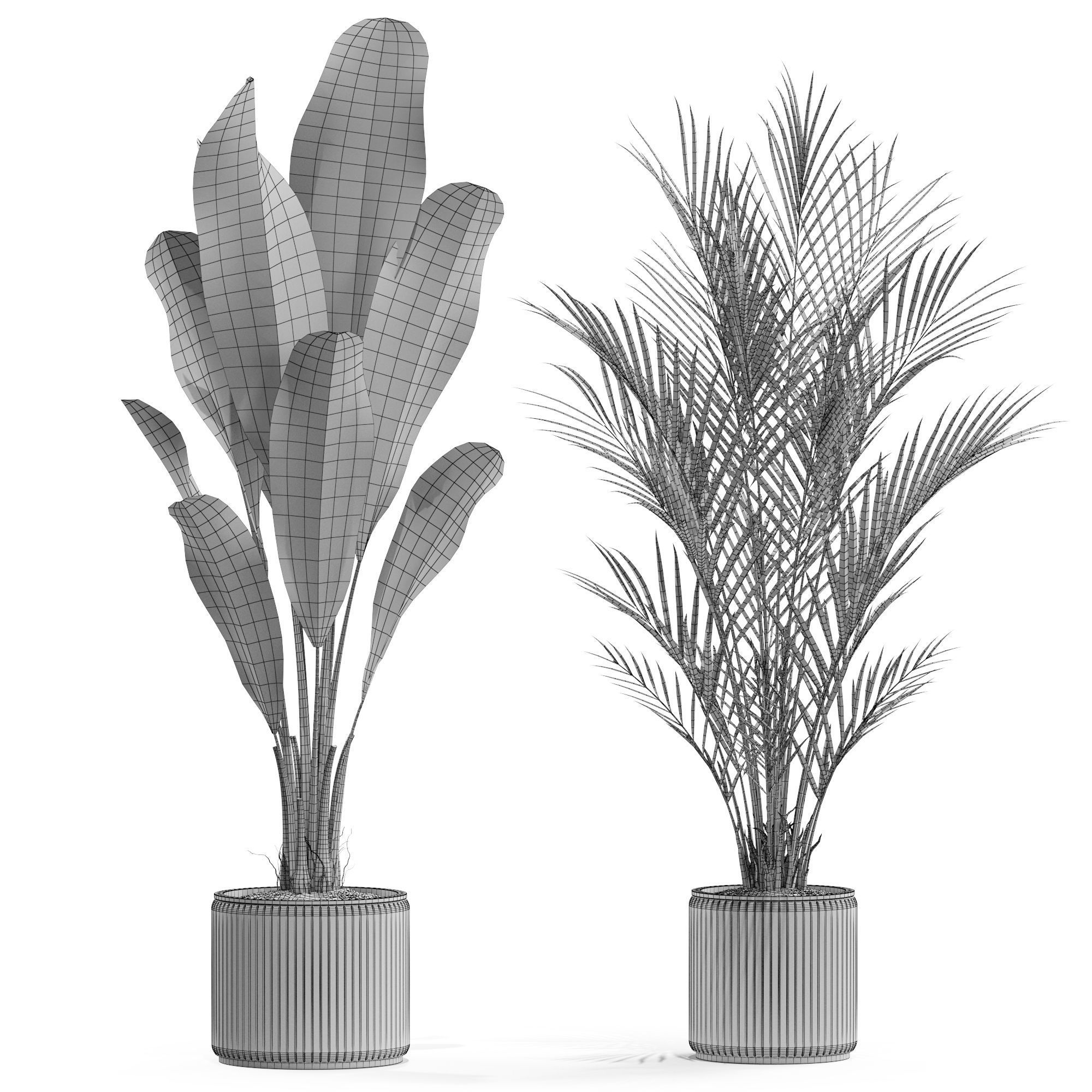 Plants collection 563 3D model_3