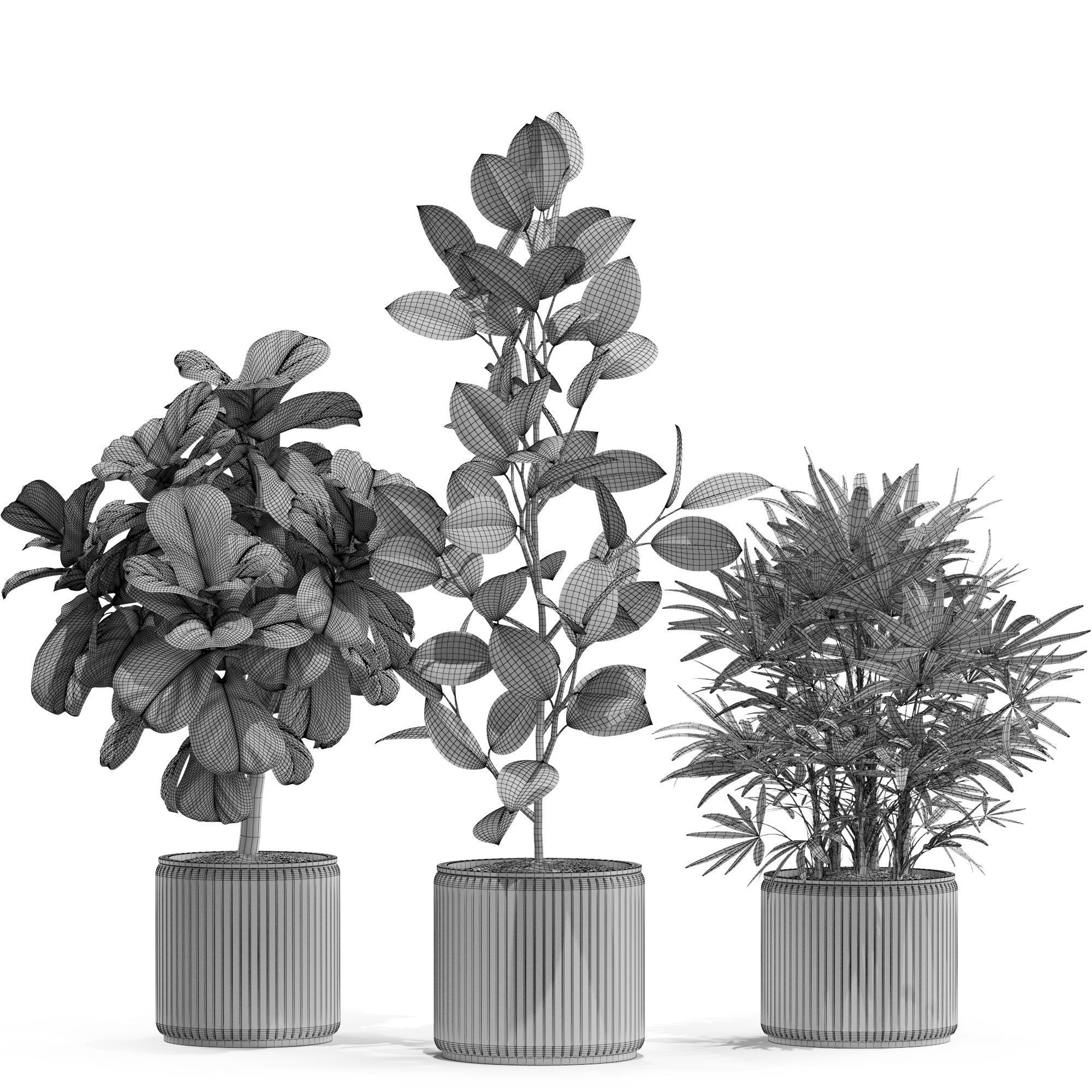 Plants collection 563 3D model_4