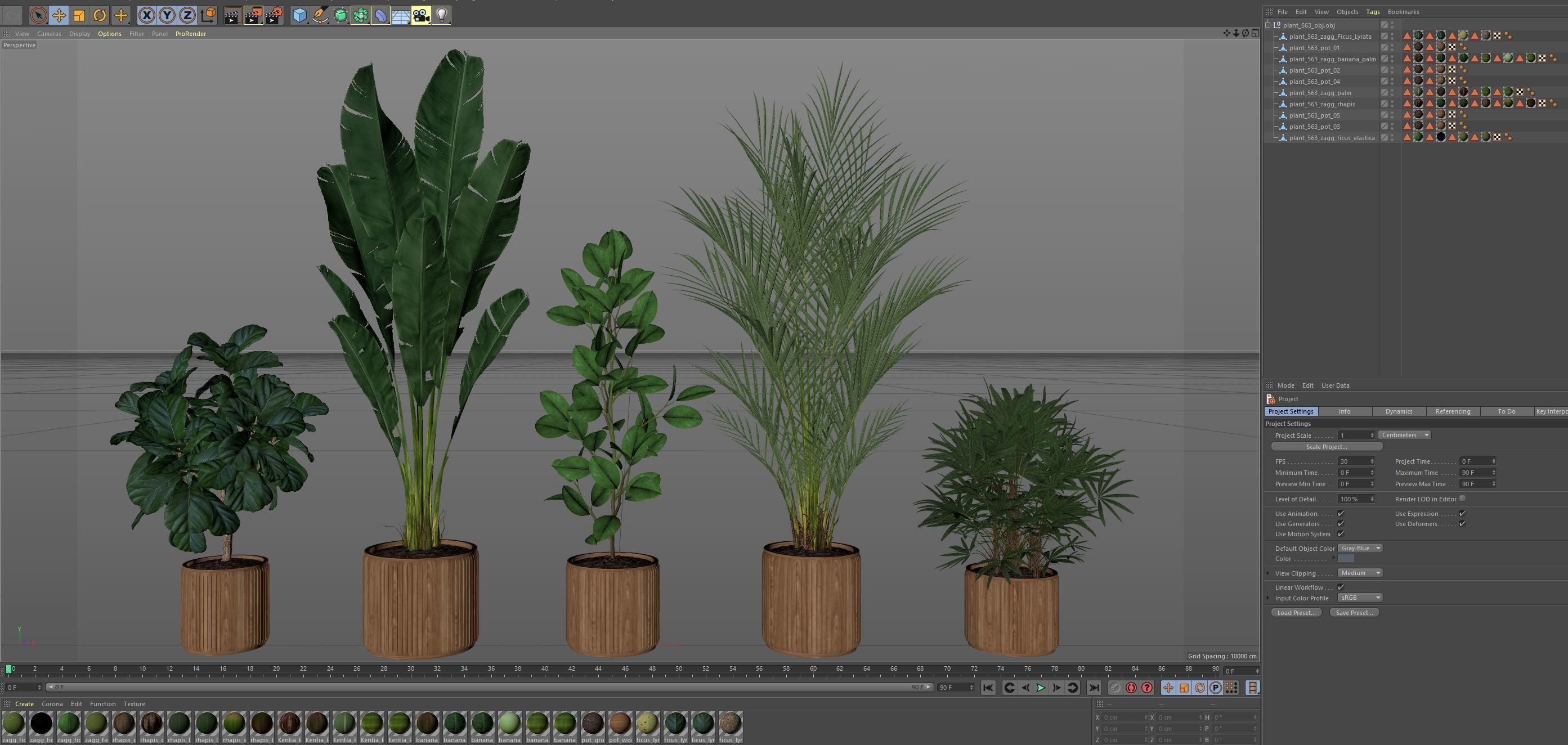 Plants collection 563 3D model_5