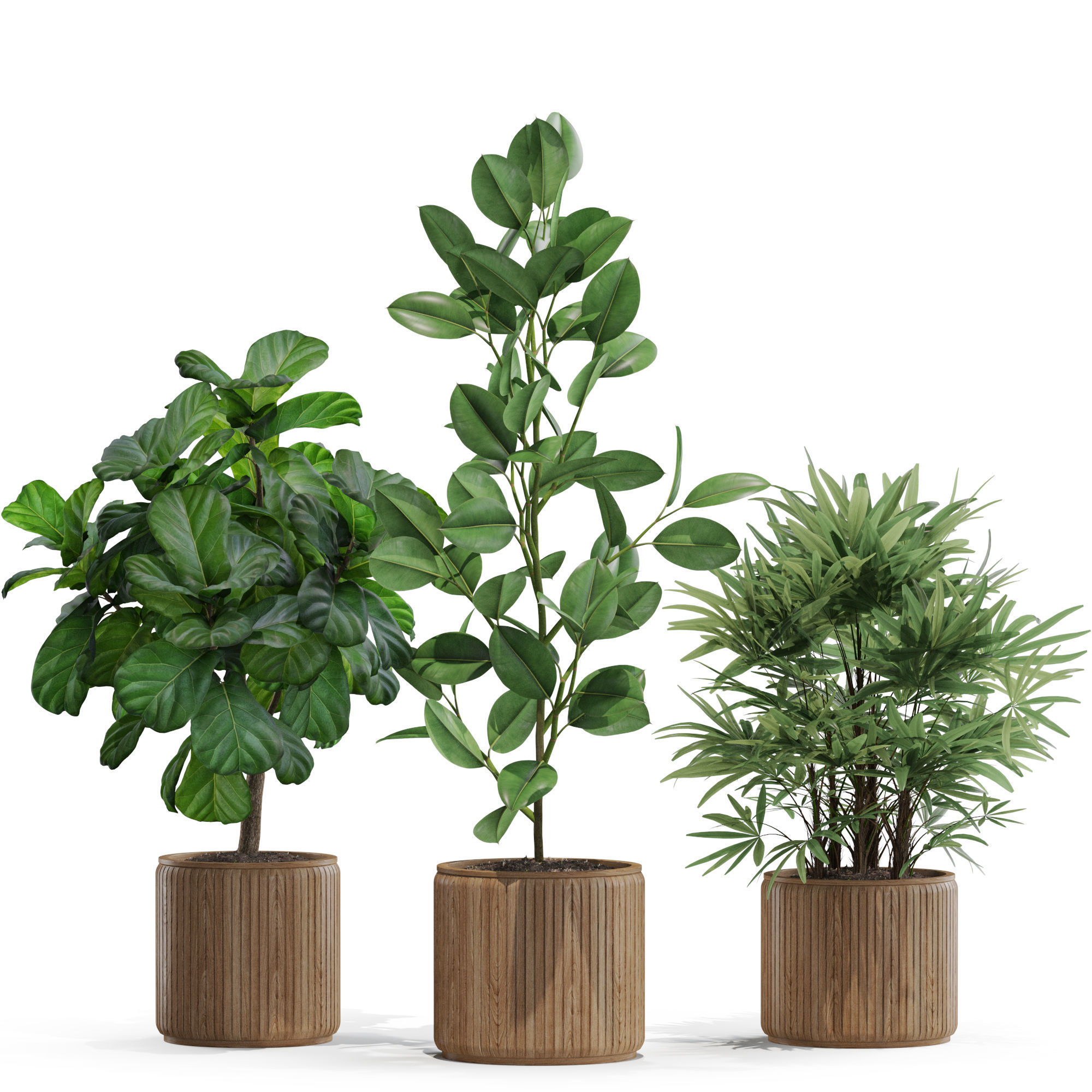 Plants collection 563 3D model_2