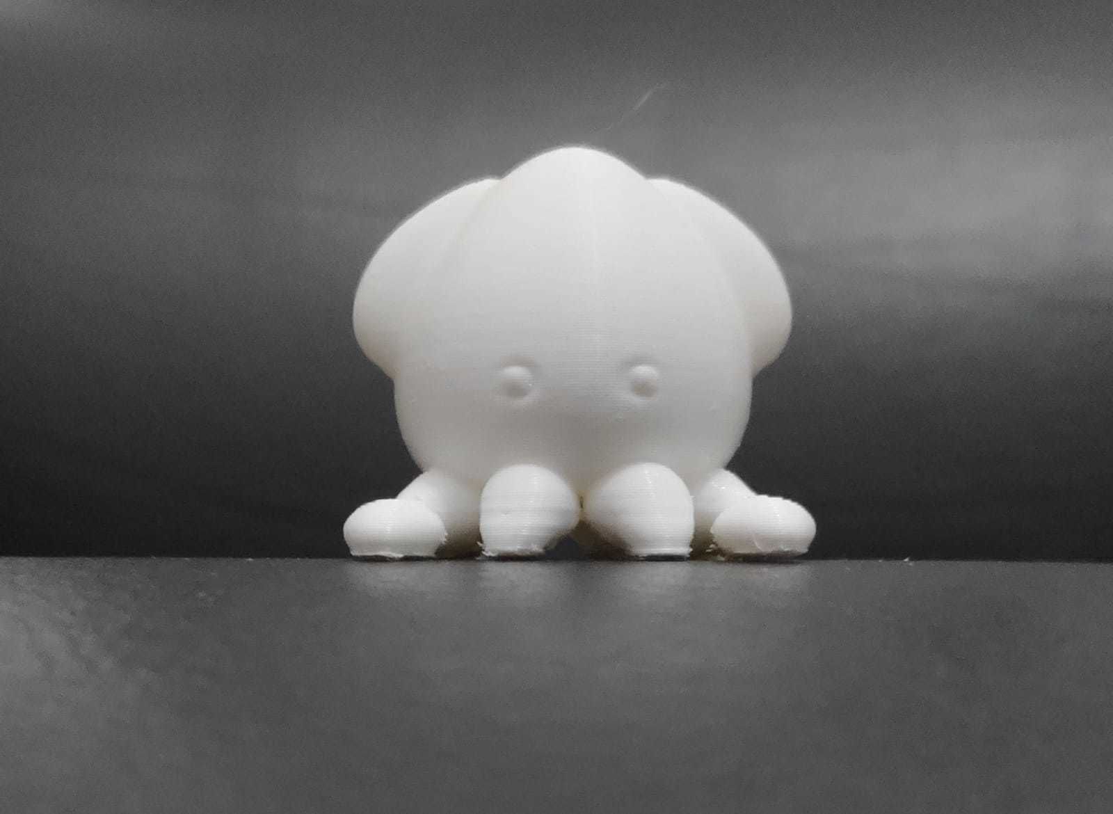 Little Squid 3D print model_2