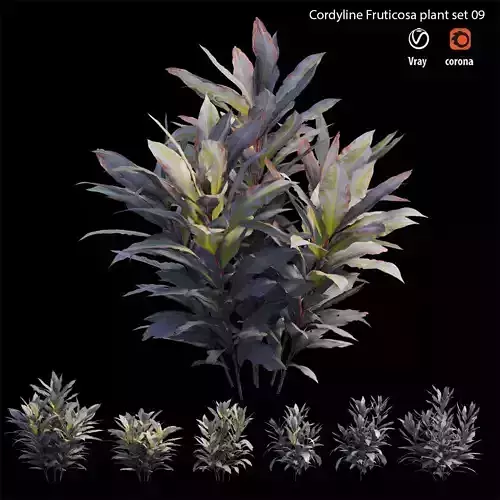 Cordyline Fruticosa plant set 09 Low-poly 3D model