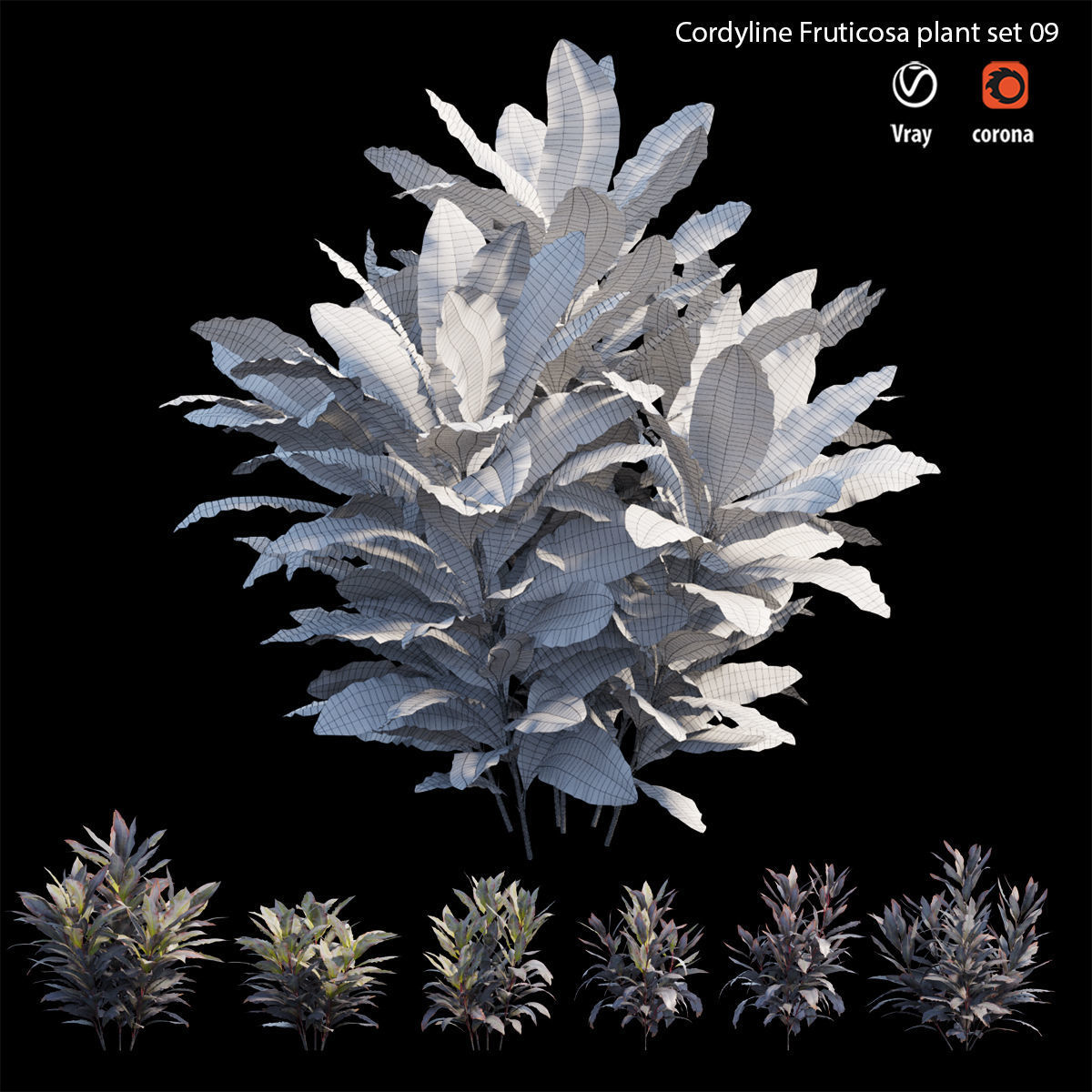 Cordyline Fruticosa plant set 09 Low-poly 3D model_6