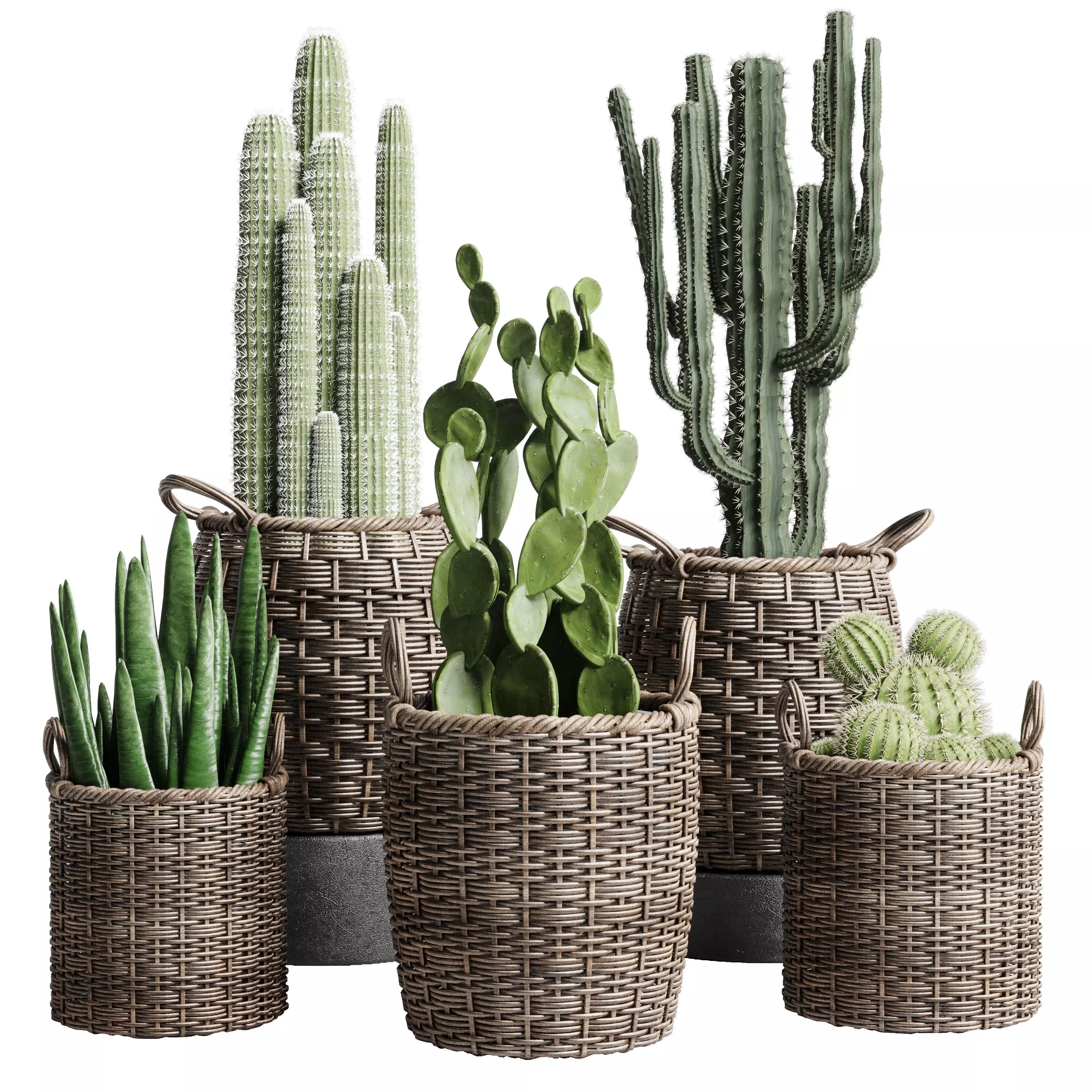 collection indoor plant 112 stair basket rattan vase pot cactus 3D model