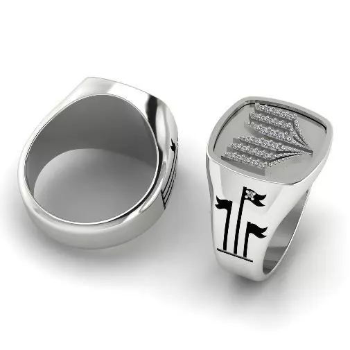 Ring 890 3D print model_0