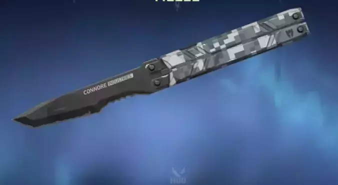 VALORANT NEW BUTTERFLY KNIFE
