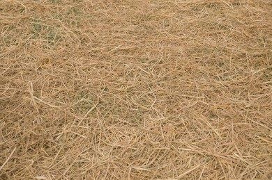 Architectural asset barn 3D model_12