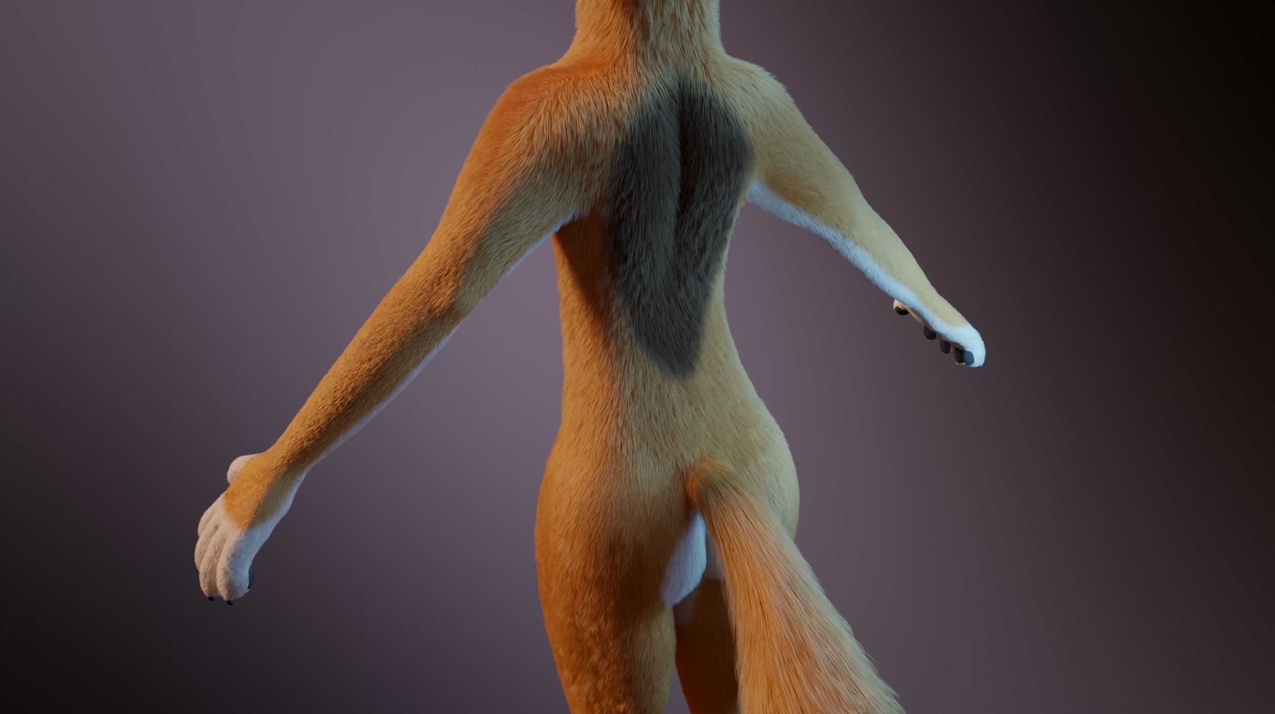 Zoe Anthro Fox 3D model_7