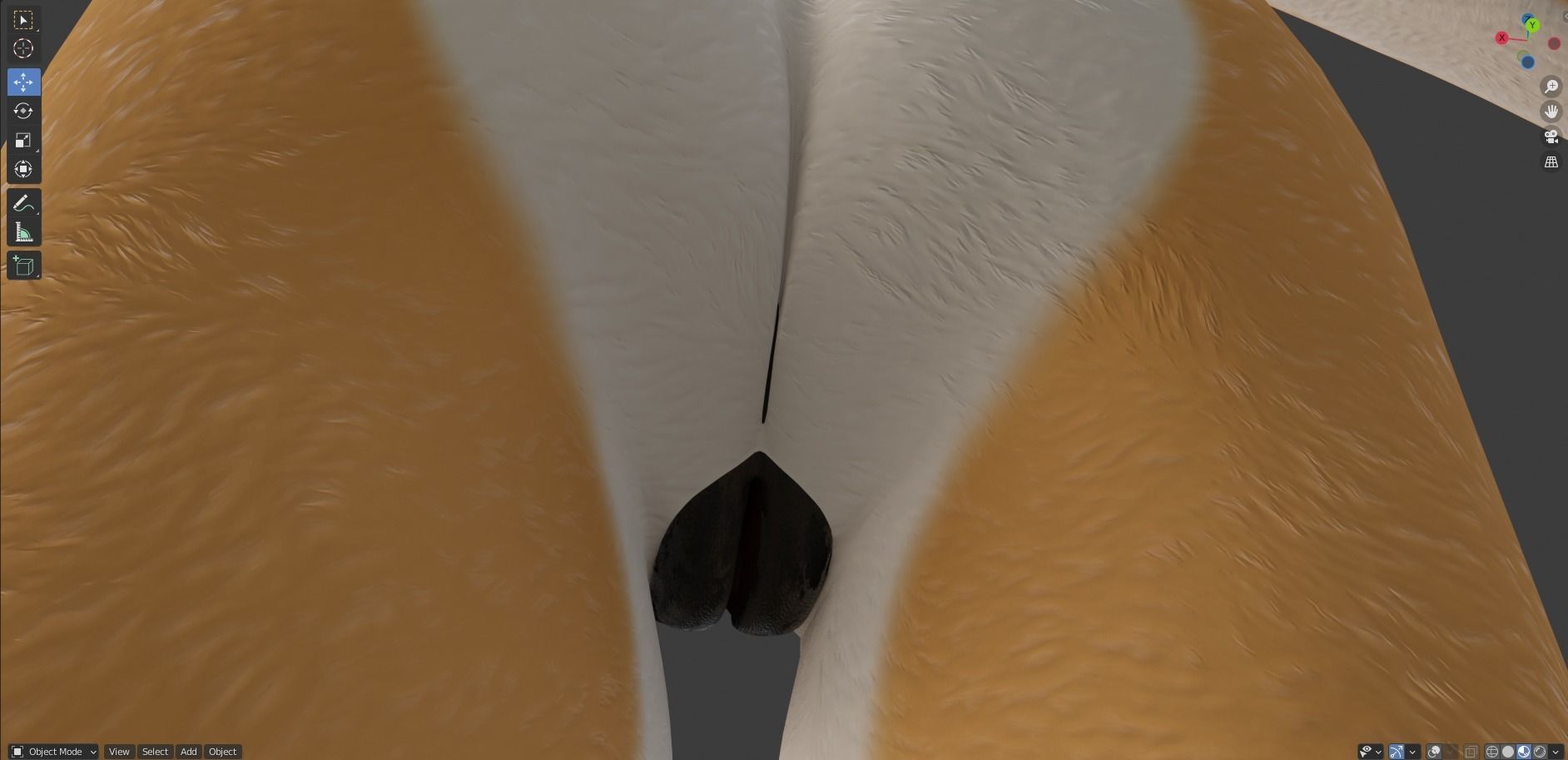 Zoe Anthro Fox 3D model_49