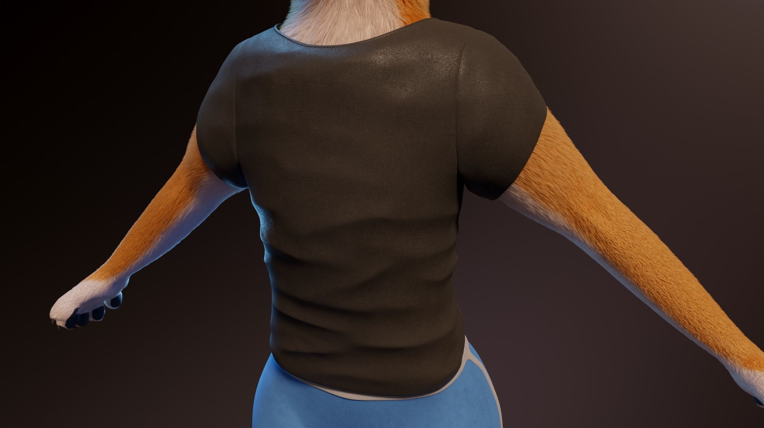 Zoe Anthro Fox 3D model_26