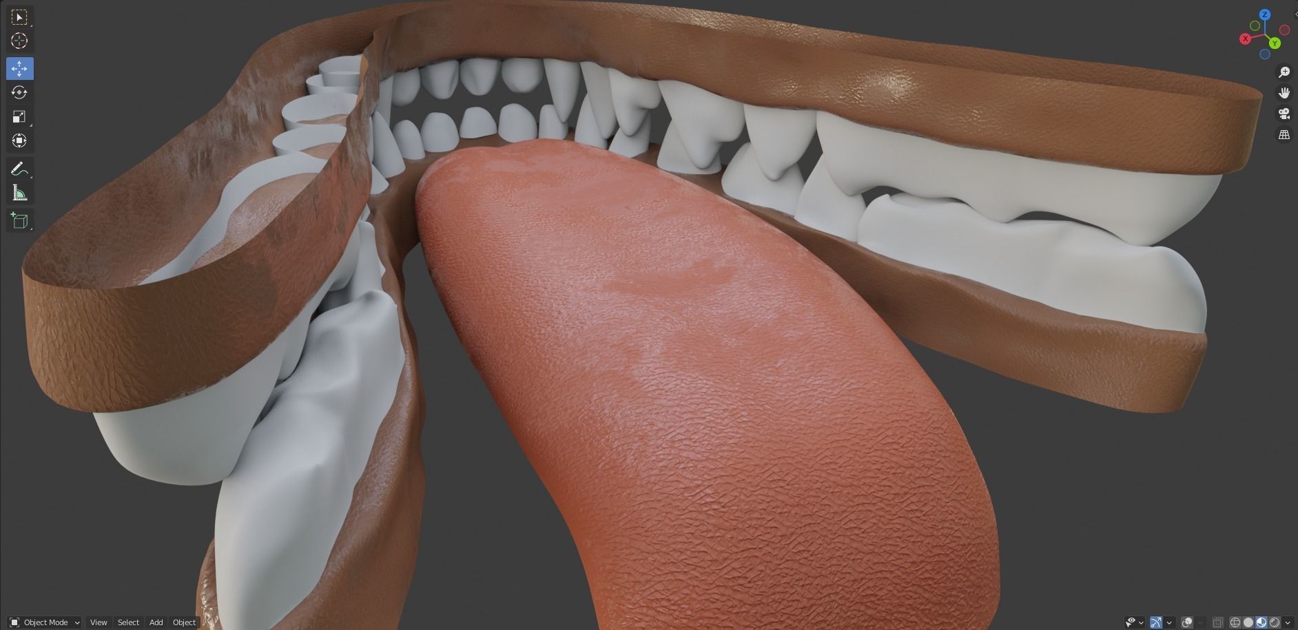 Zoe Anthro Fox 3D model_81