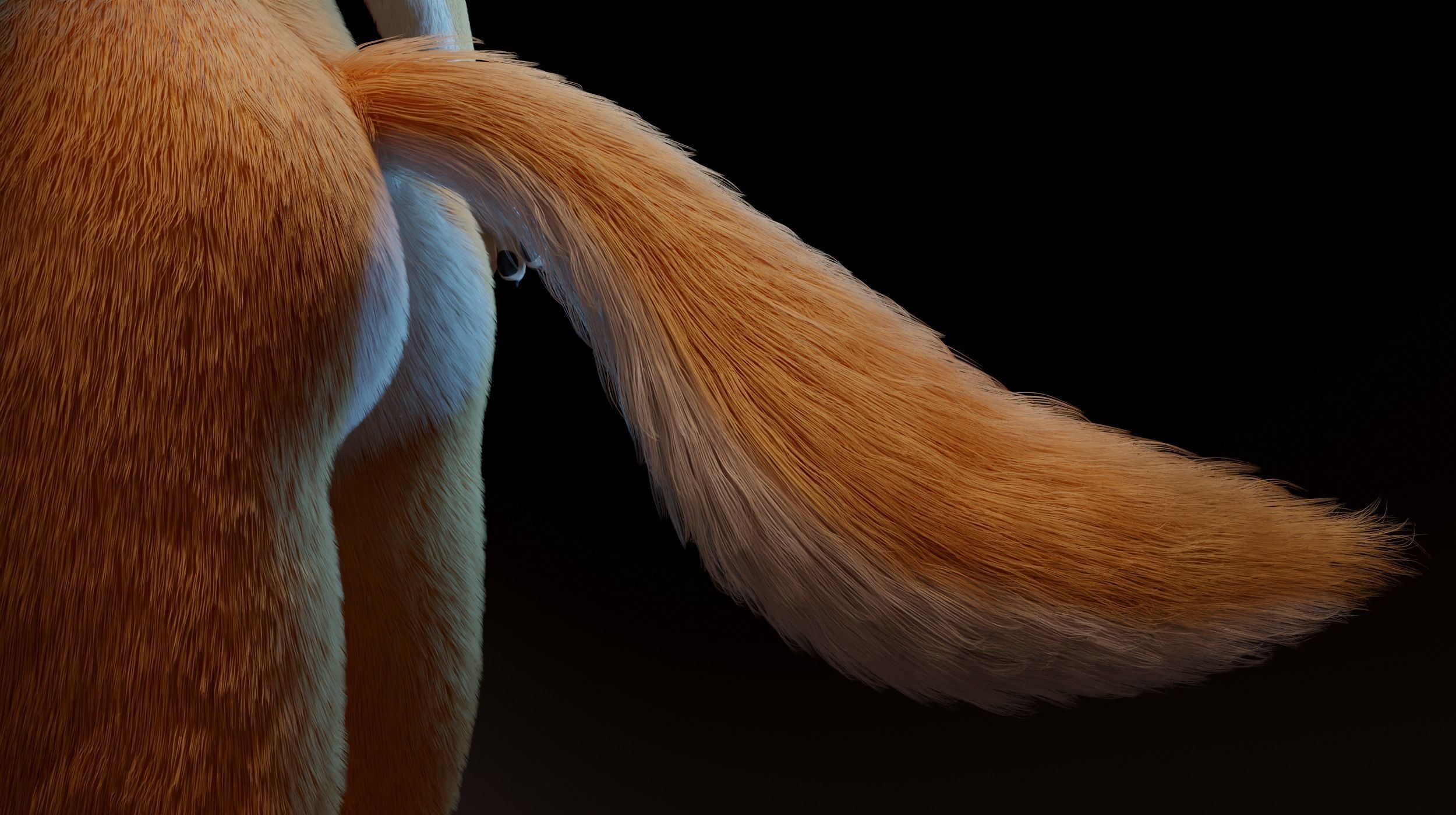 Zoe Anthro Fox 3D model_10