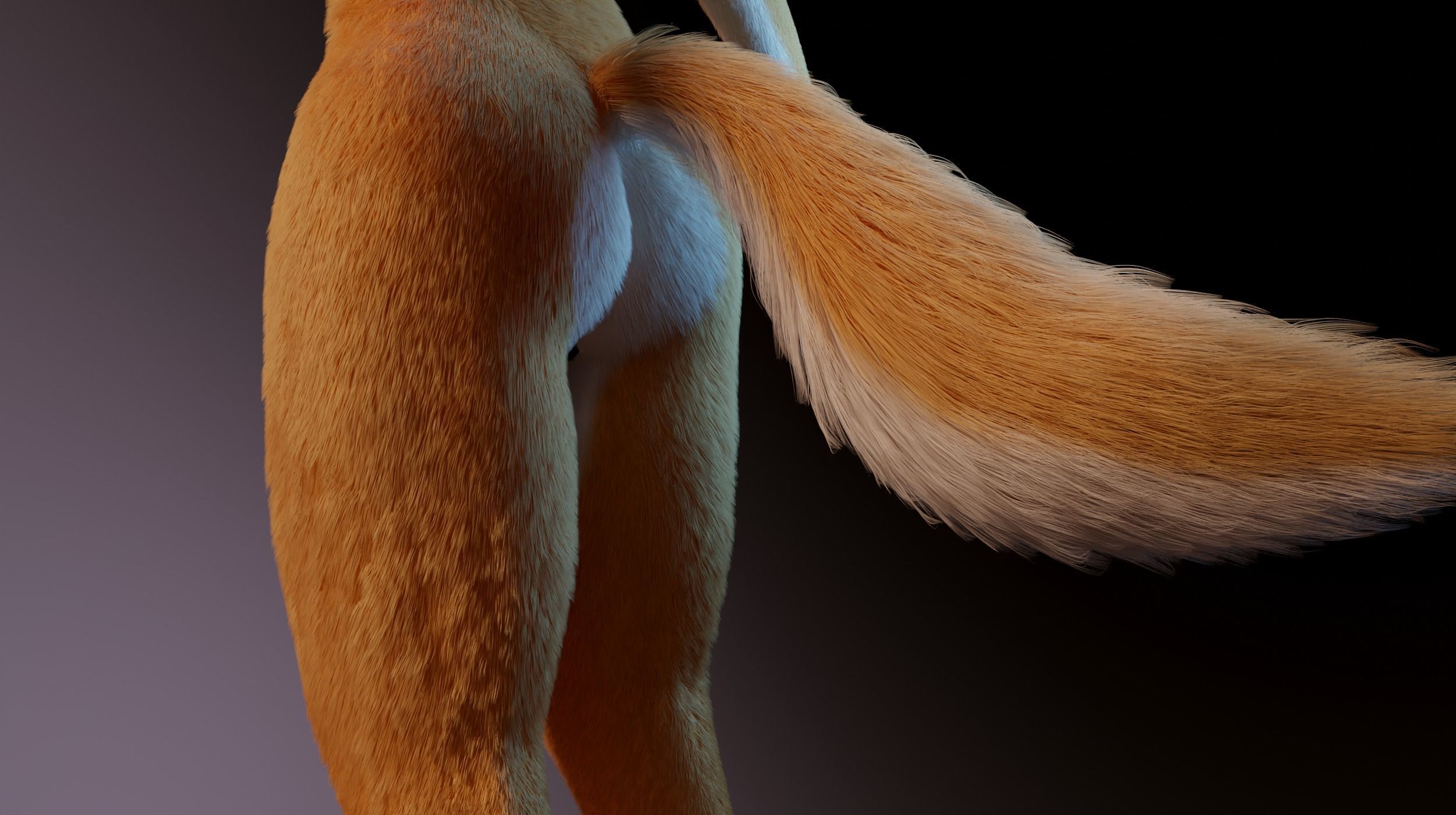 Zoe Anthro Fox 3D model_9
