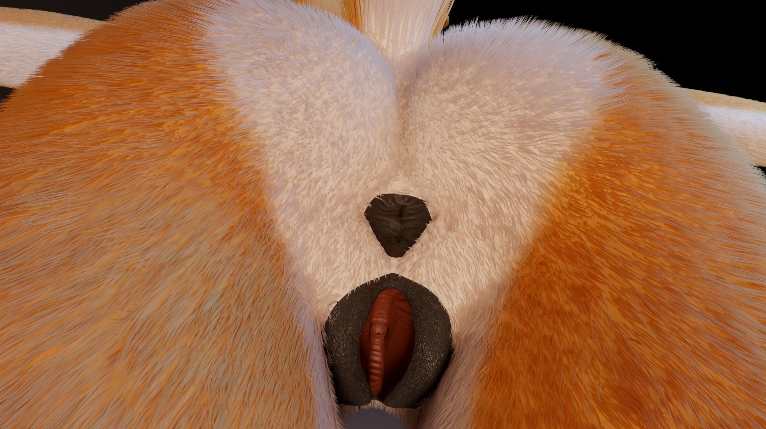 Zoe Anthro Fox 3D model_16