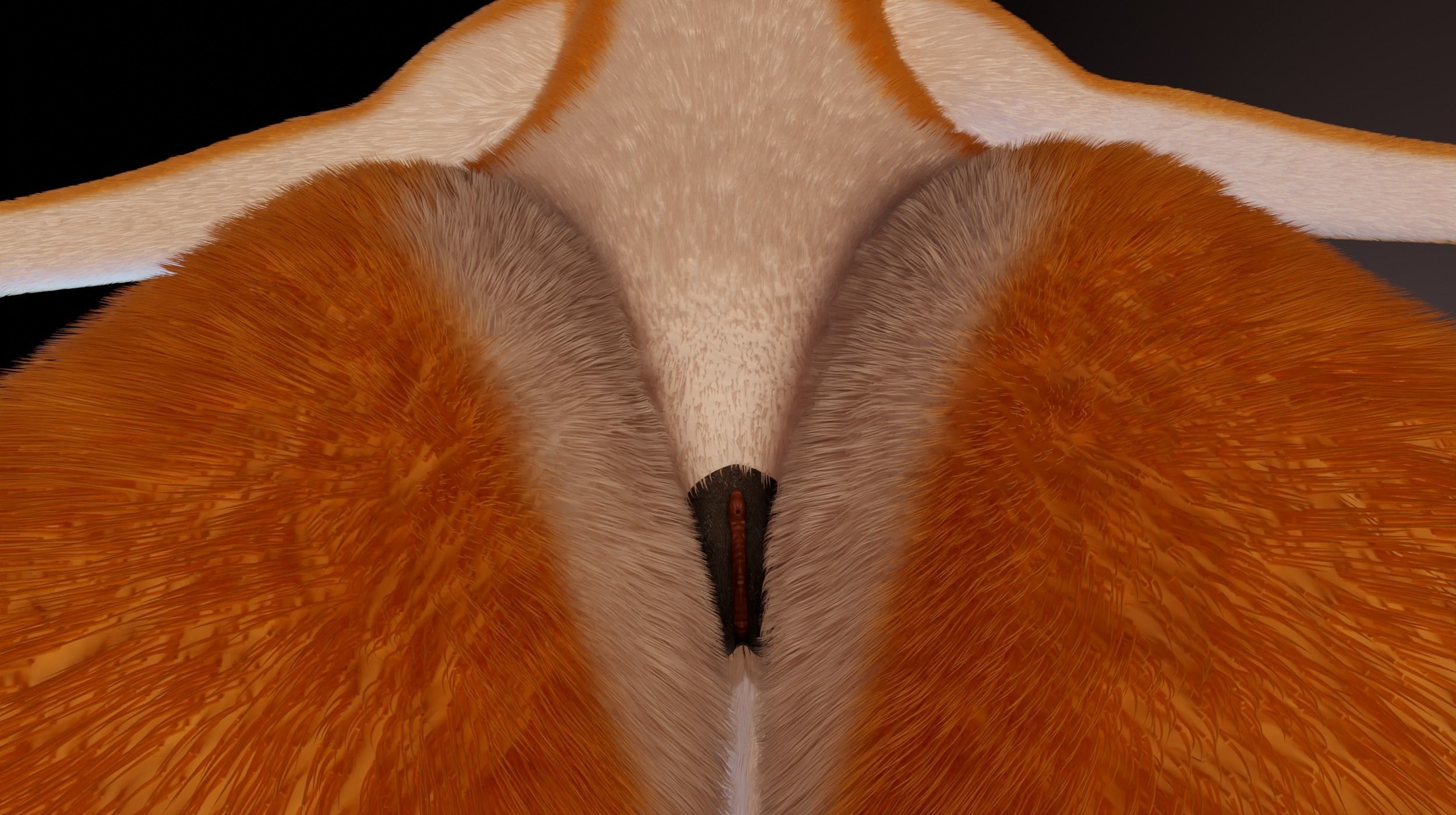 Zoe Anthro Fox 3D model_15