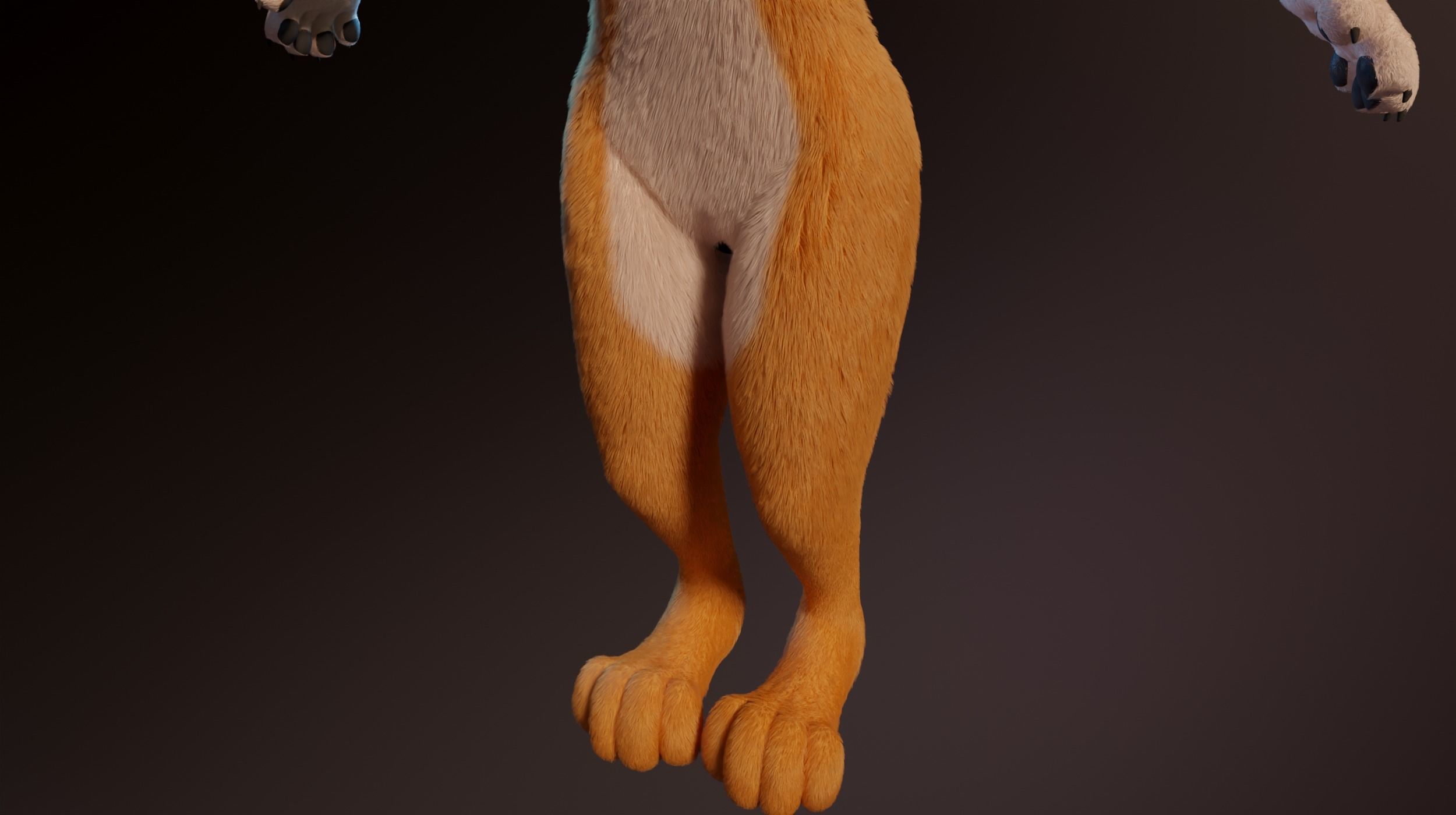 Zoe Anthro Fox 3D model_8