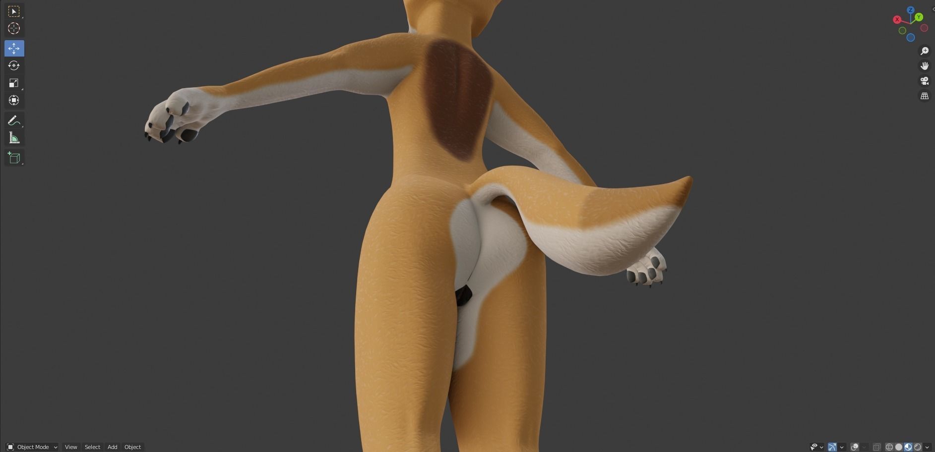 Zoe Anthro Fox 3D model_46