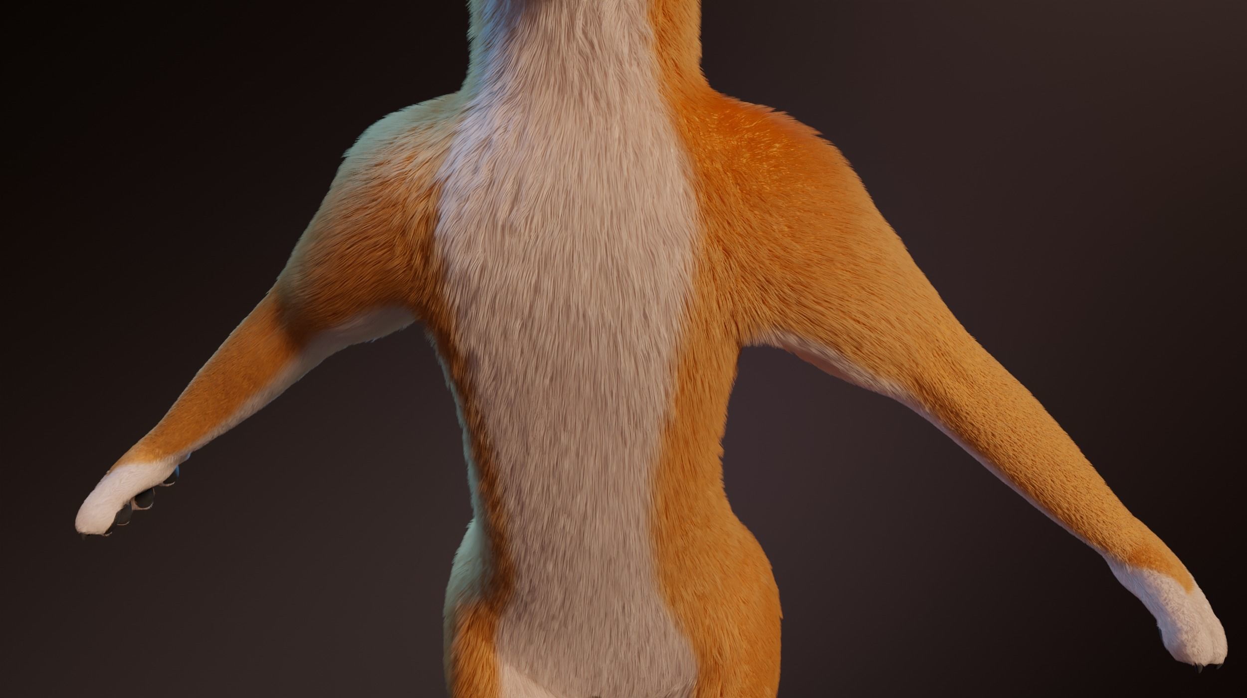 Zoe Anthro Fox 3D model_6