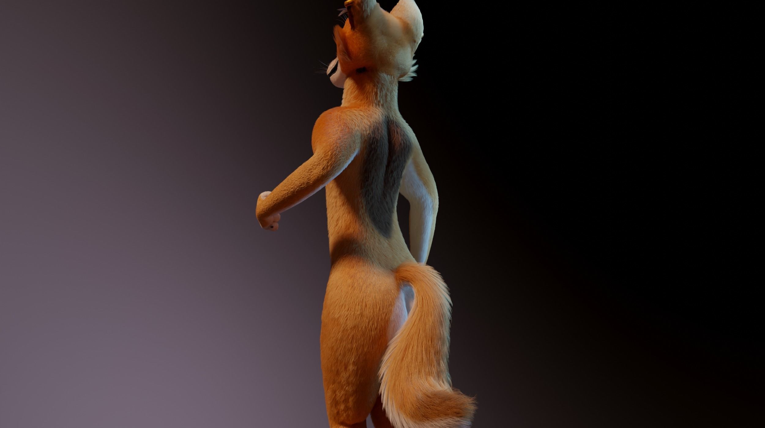 Zoe Anthro Fox 3D model_20