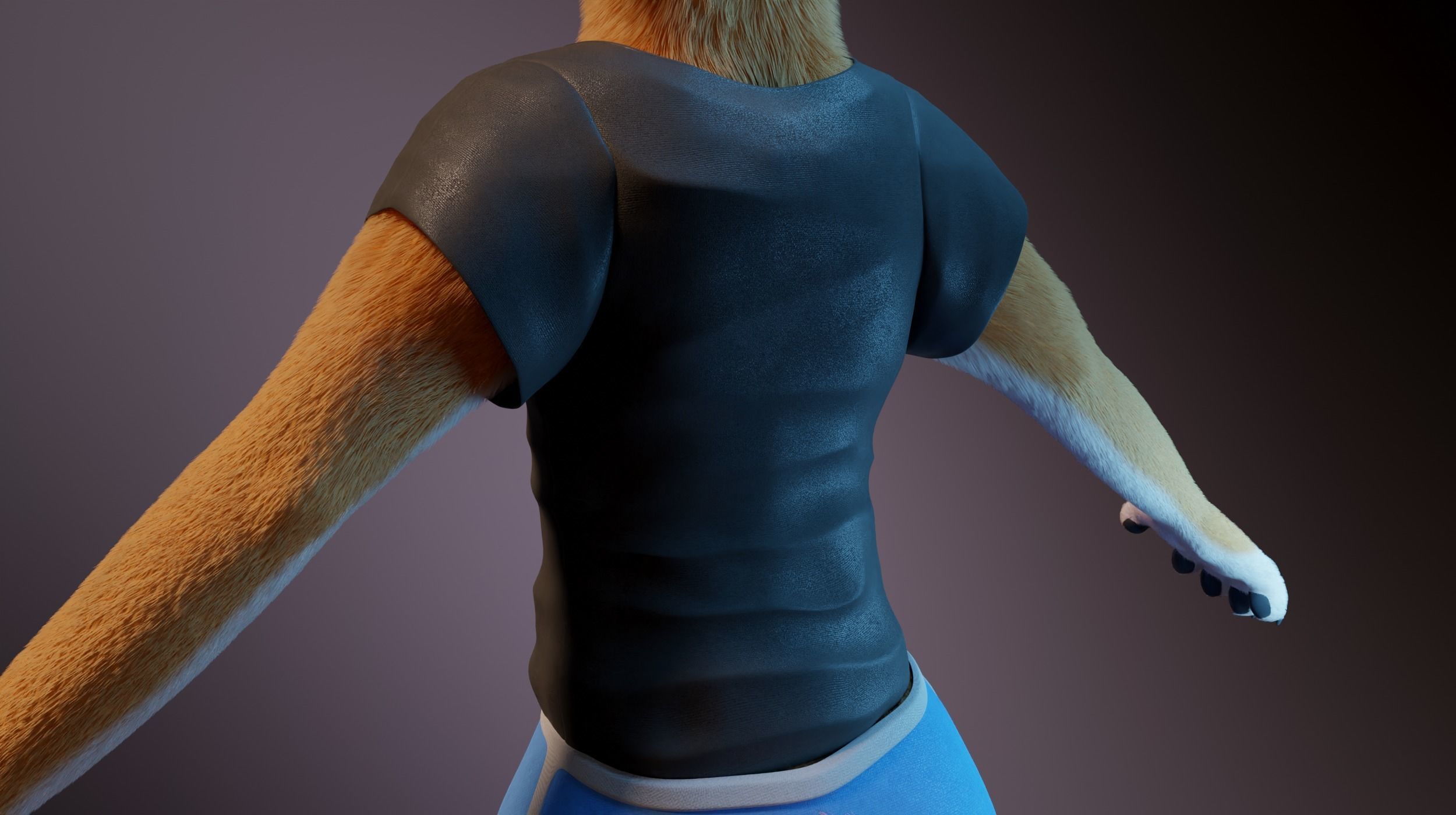 Zoe Anthro Fox 3D model_28