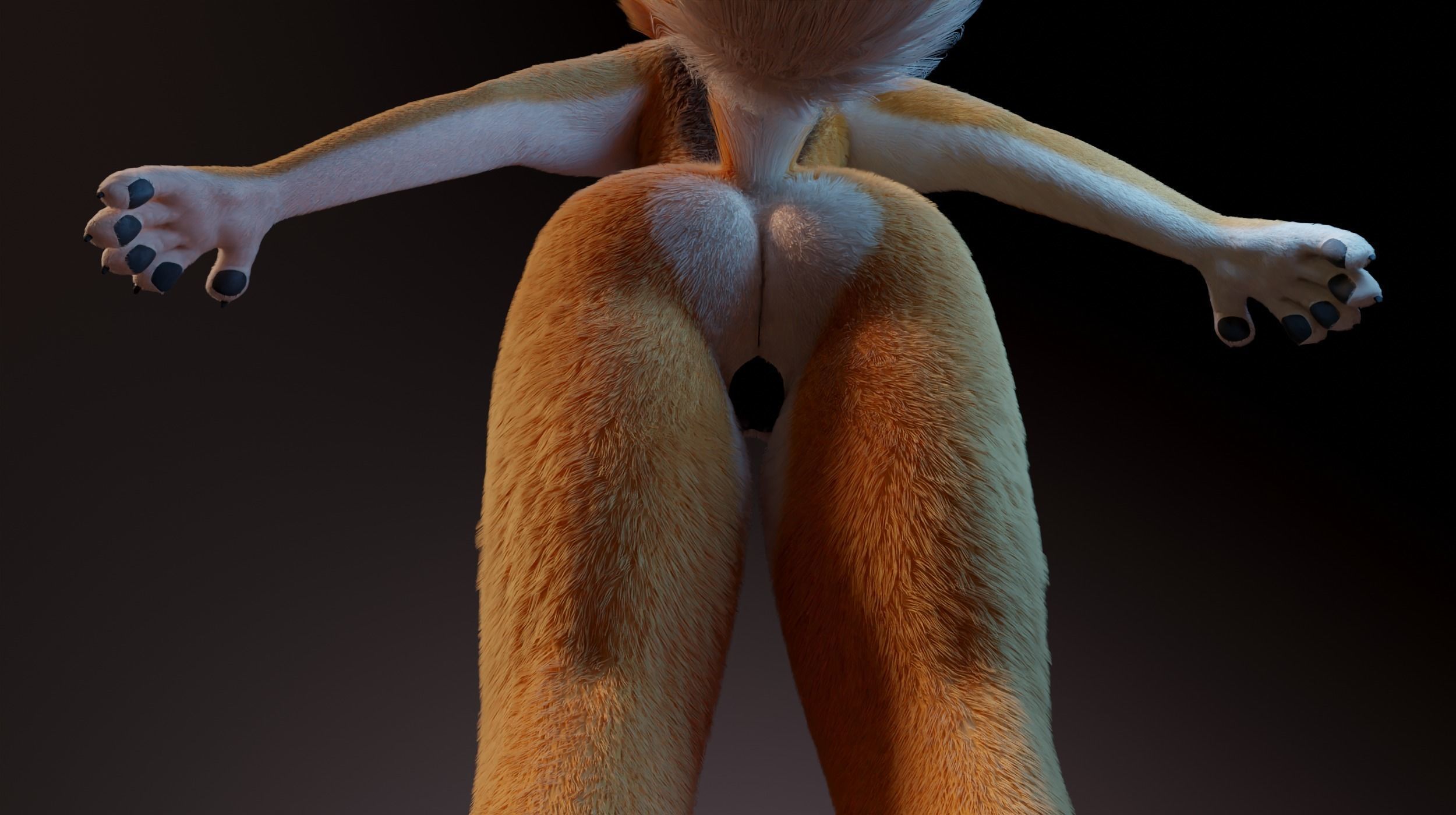 Zoe Anthro Fox 3D model_17