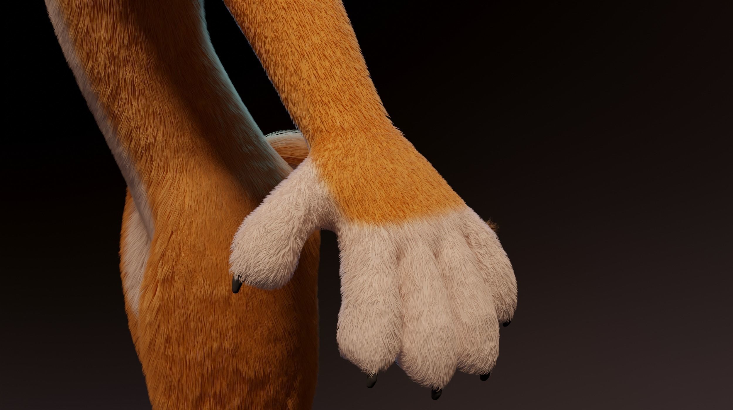 Zoe Anthro Fox 3D model_13