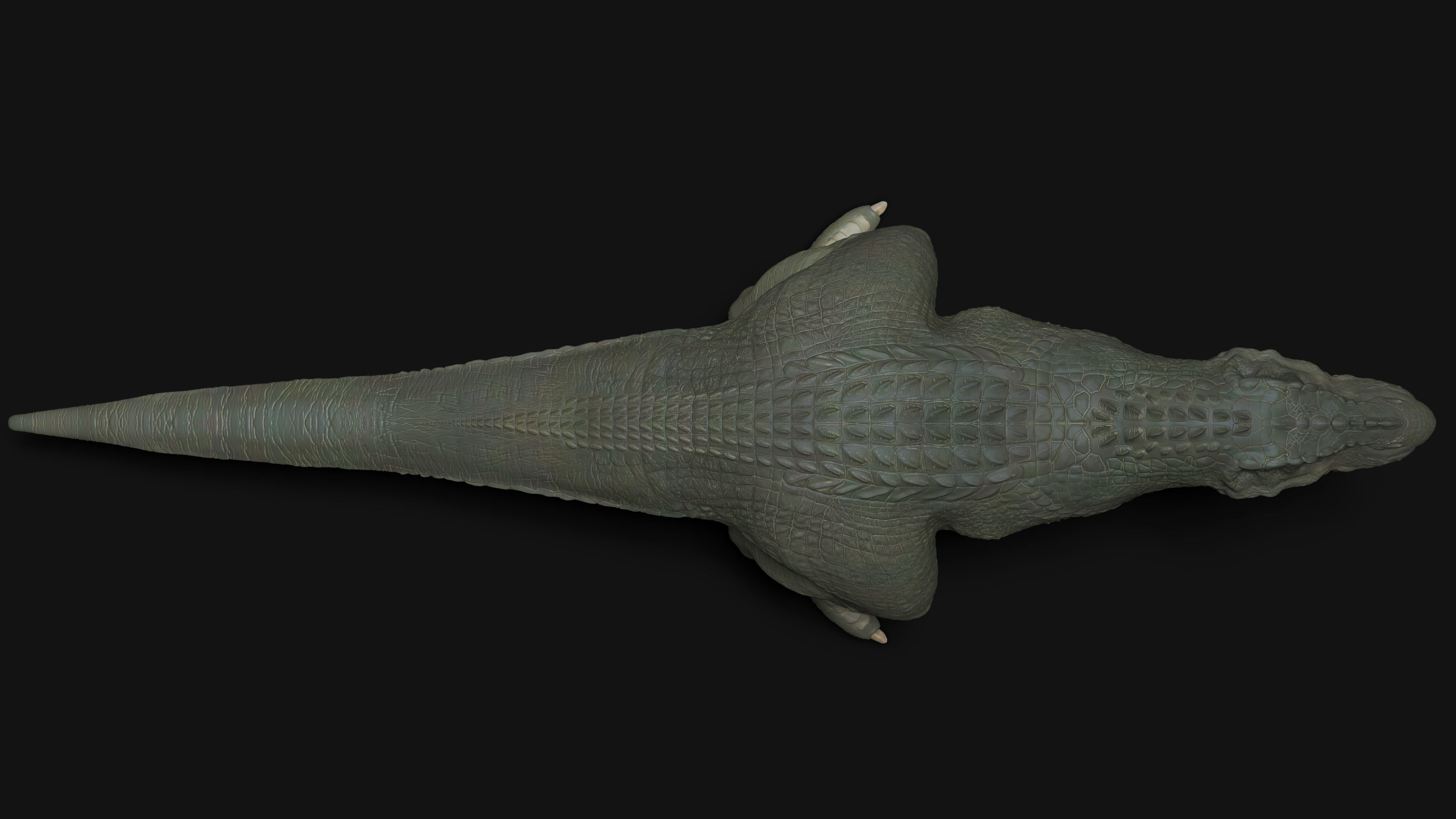 V-Rex High Poly t-rex Low-poly 3D model_6