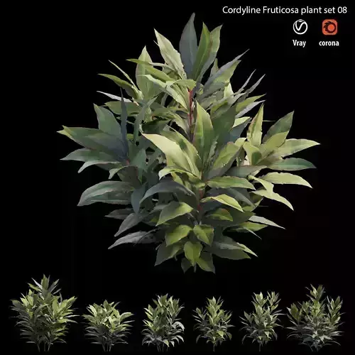 Cordyline Fruticosa plant set 08 Low-poly 3D model