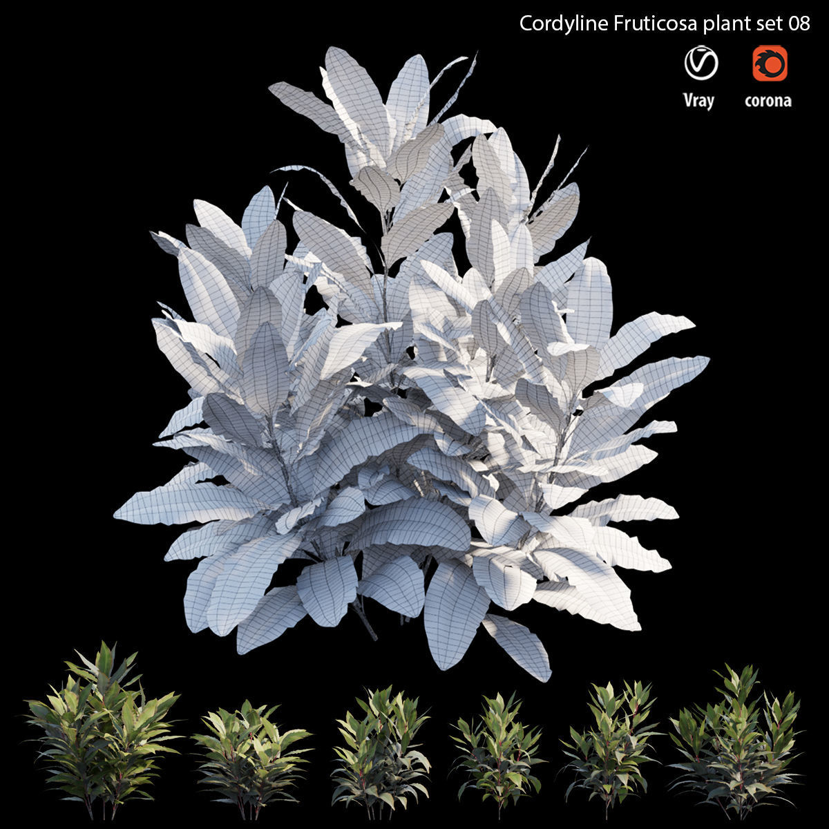 Cordyline Fruticosa plant set 08 Low-poly 3D model_6
