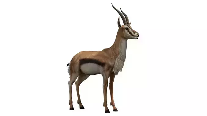 Gazelle Low-poly 3D model antelope 3D model